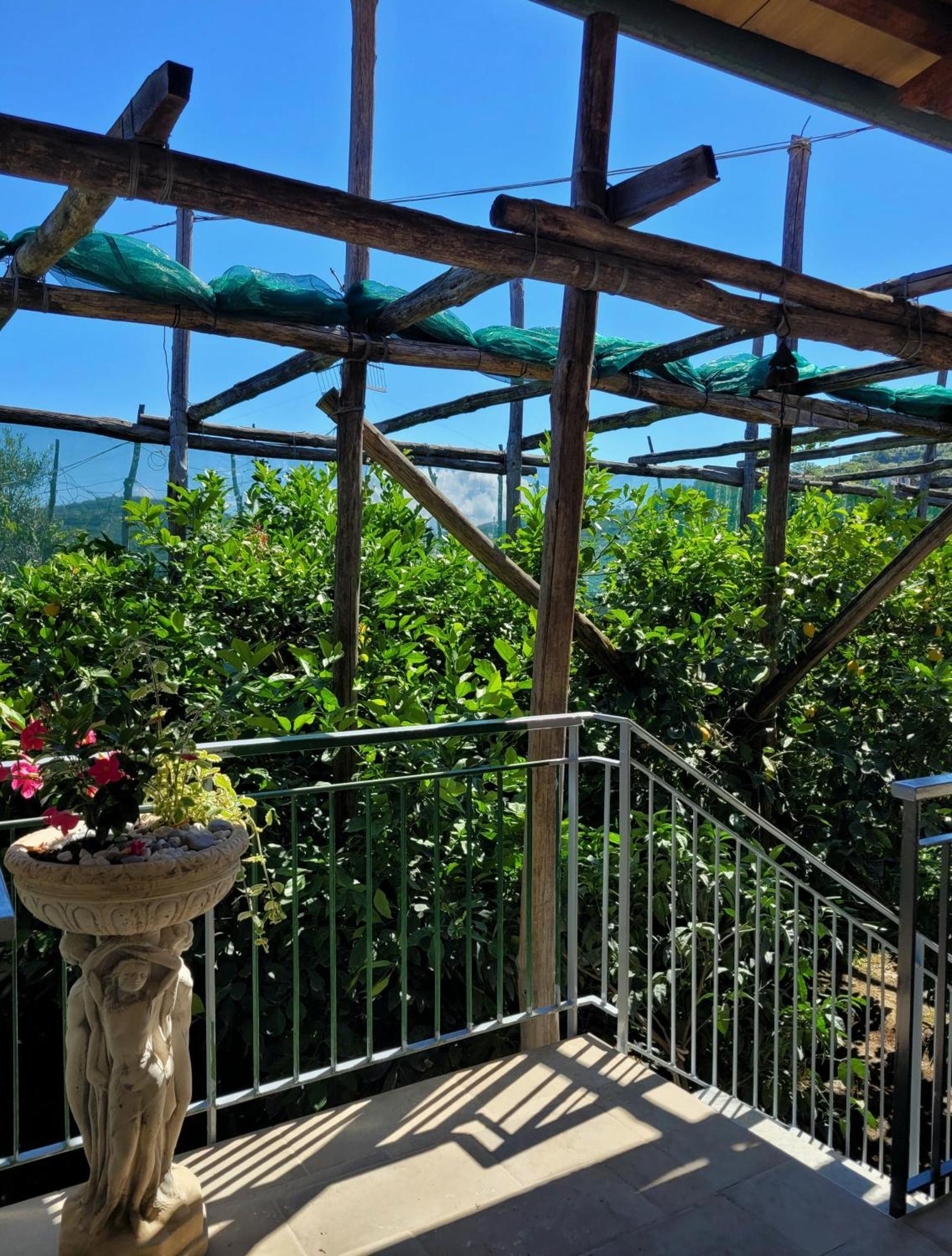 Sun & Relax, Relaxing Location With Seaview Villa Massa Lubrense Ngoại thất bức ảnh